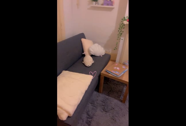 Video 1: Sofa cum-bed