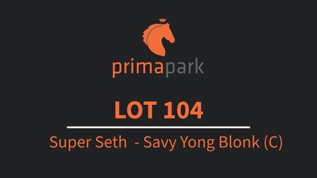 Lot 104