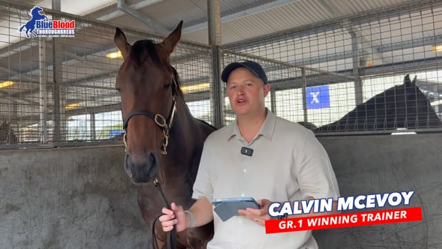 Capitalist x Air To Air Colt - Calvin McEvoy PROMO