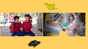 Related Embedded Video Item Thumbnail