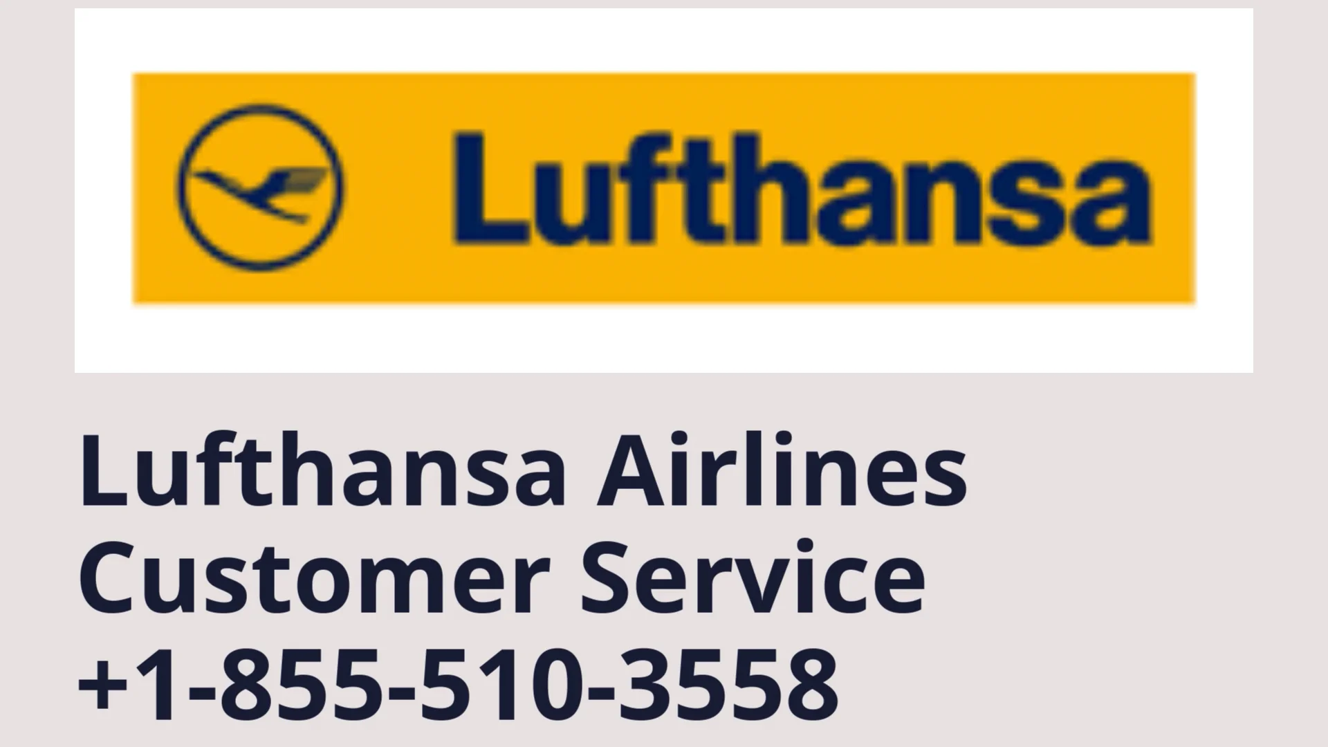 A Comprehensive Guide to Official {Lufthansa Airlines&trade;} Customer Service&reg;: Summary of Phone, Chat, and Mail