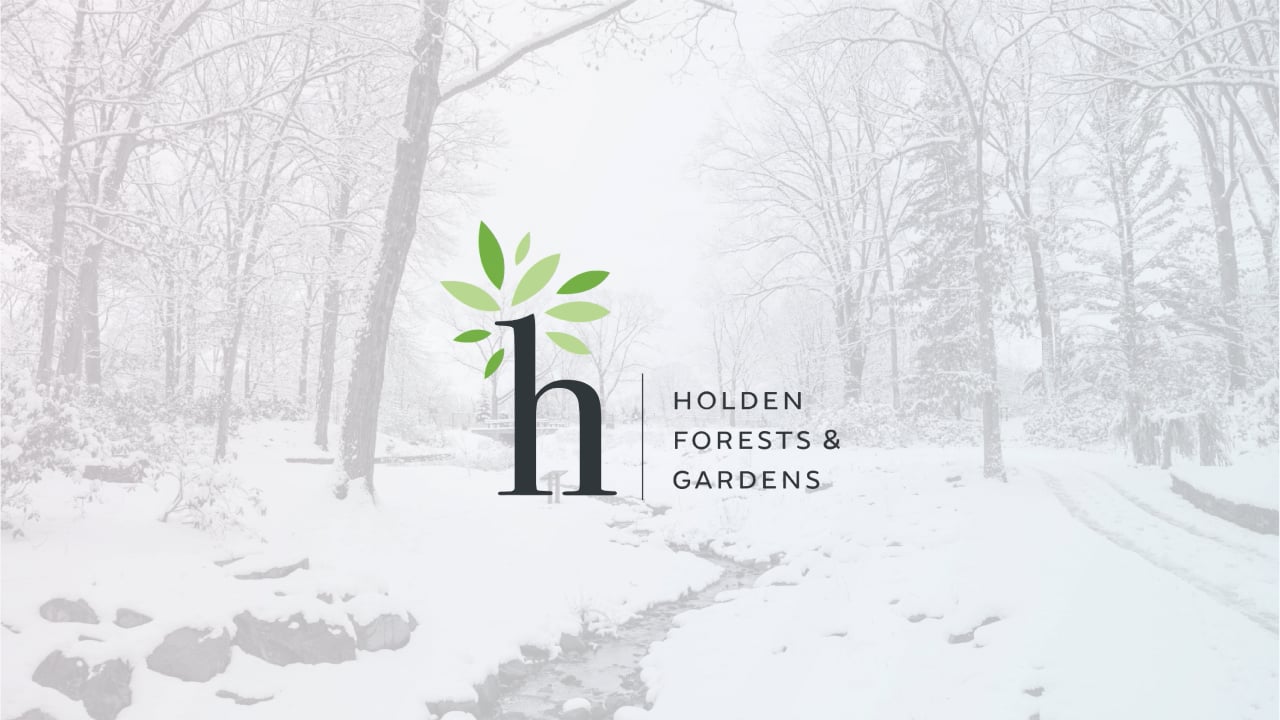 Holden Forest & Gardens - Case study