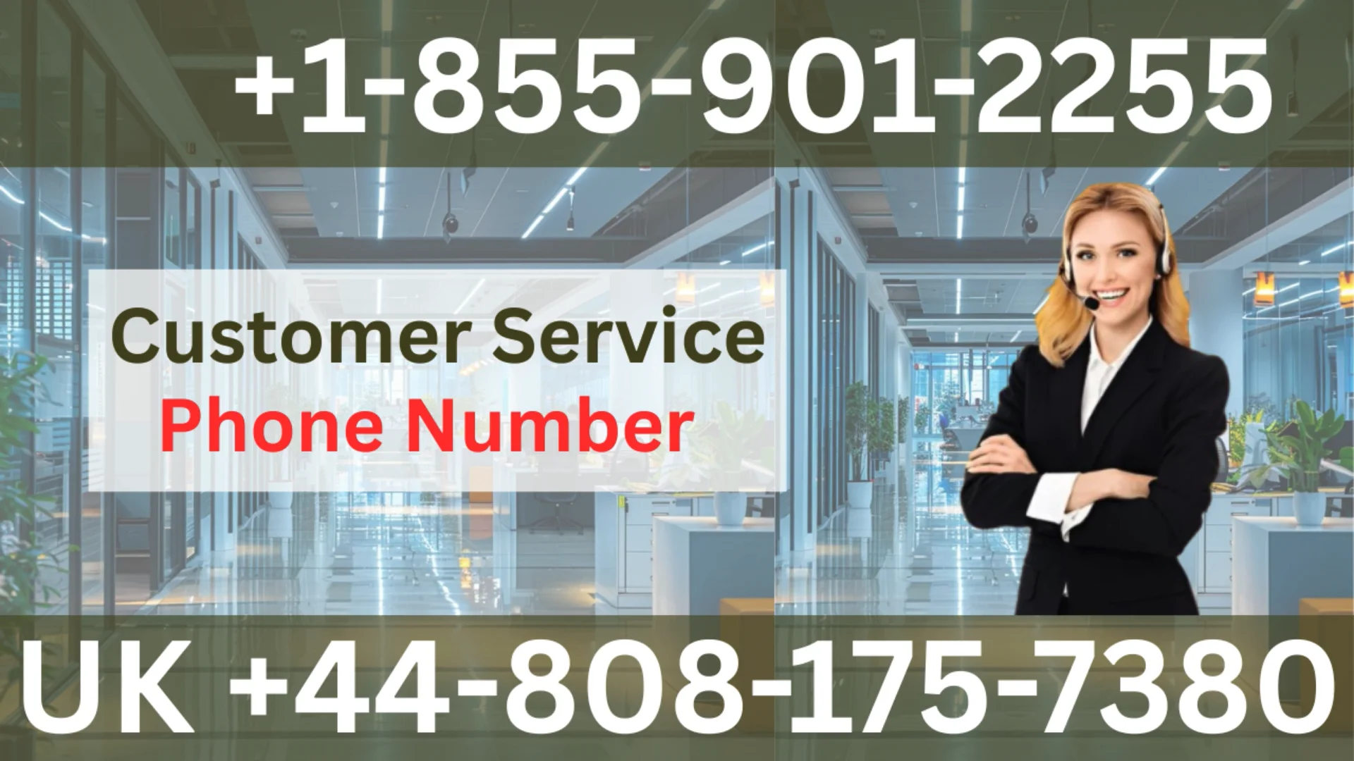 Qatar Airways&trade; Official Customer Service | Complete 24/7 Help & Support Guide