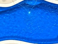 The Serene In-Ground Fiberglass Pool - Aviva Pools