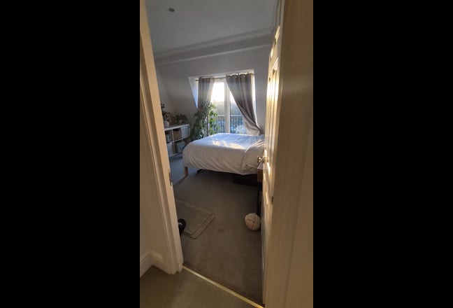 Sunny Double Room a minute from Bishops Park Main Photo