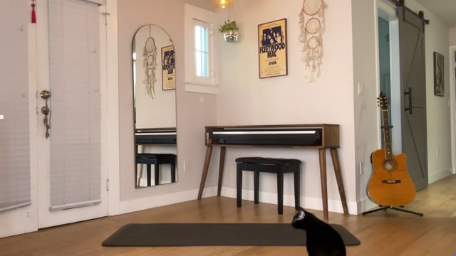 Related Embedded Video Item Thumbnail