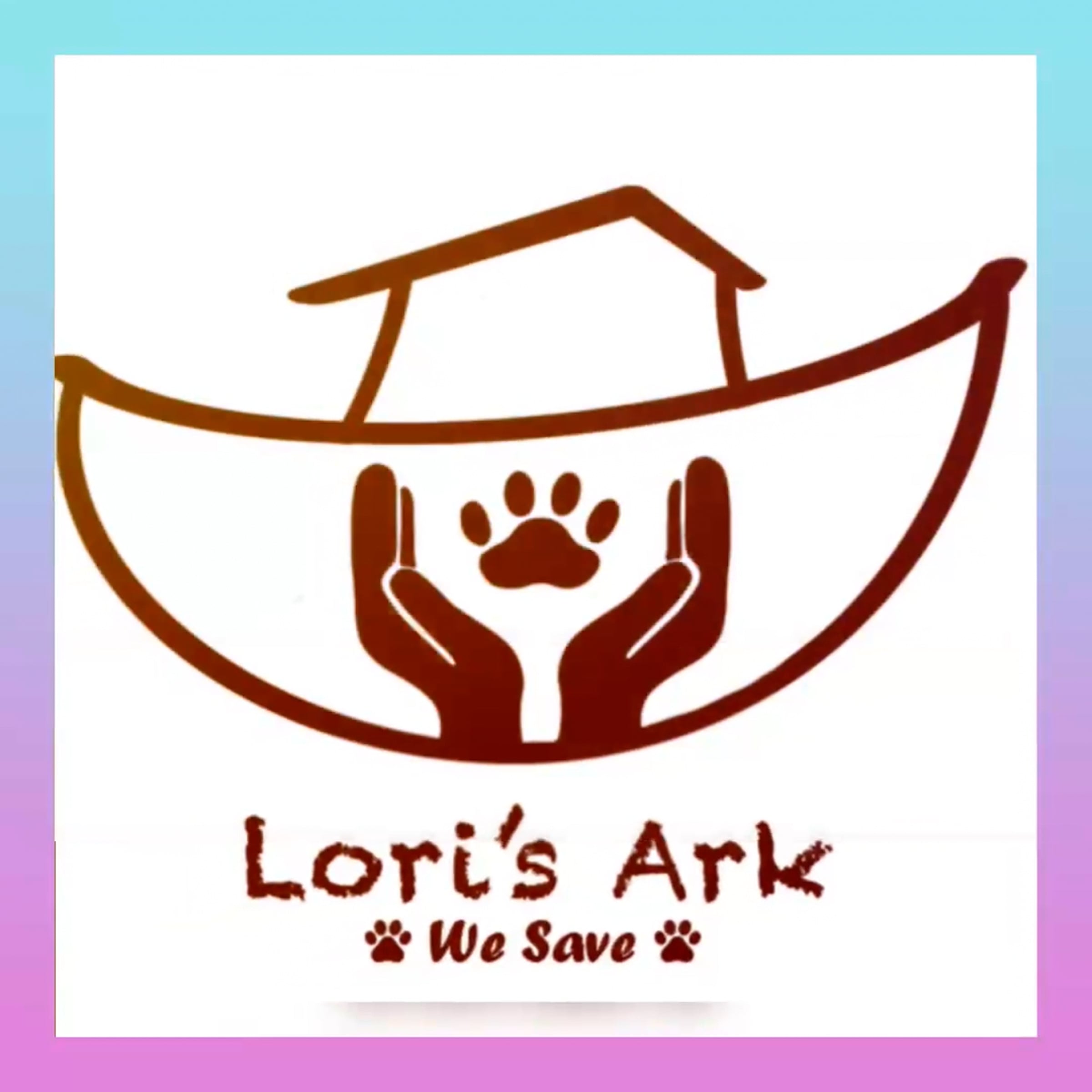 Lori's Ark, 2025 in Review | Videos & Movies on Vimeo