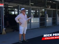 Farnan x Serious Satire Colt MICK