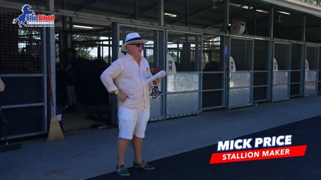 Farnan x Serious Satire Colt MICK