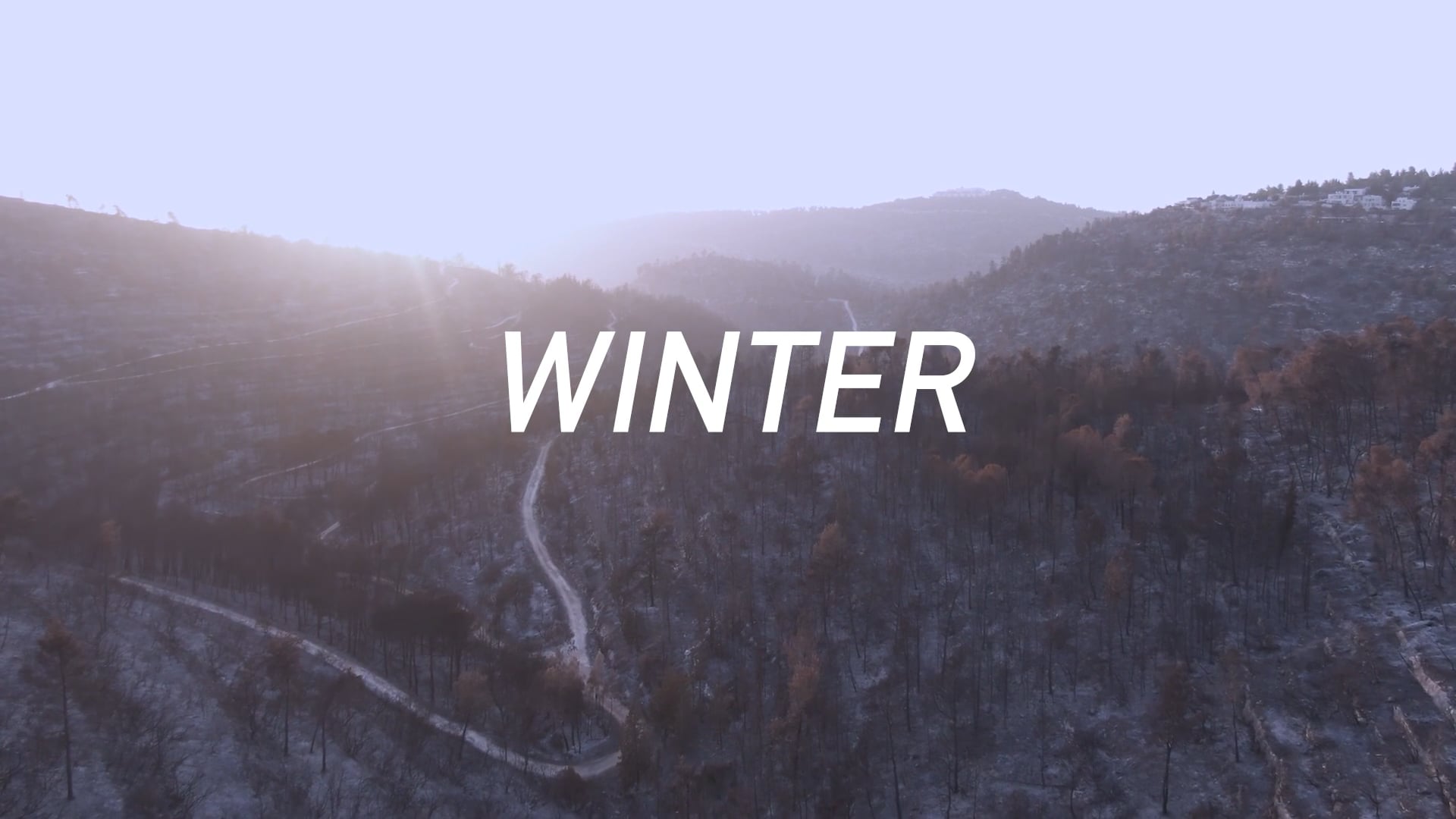 WINTER and 4 seasons | 2026