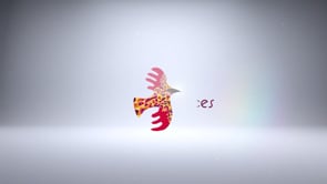 Related Embedded Video Item Thumbnail