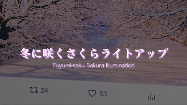冬に咲くさくらライトアップ