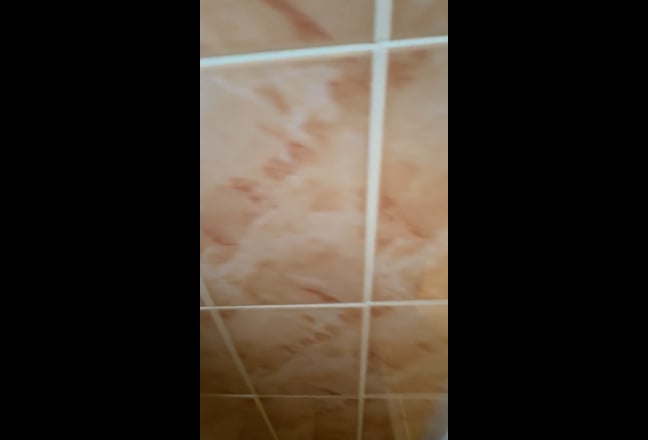 A room in a 3-bed flat in Islington (N7) Main Photo