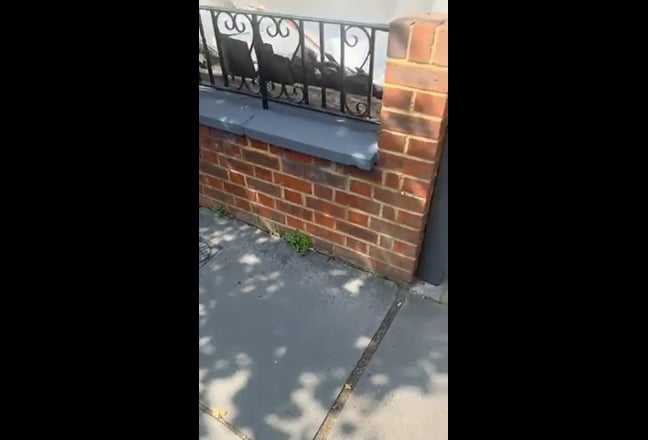 Beautiful Flat in Croydon  Main Photo