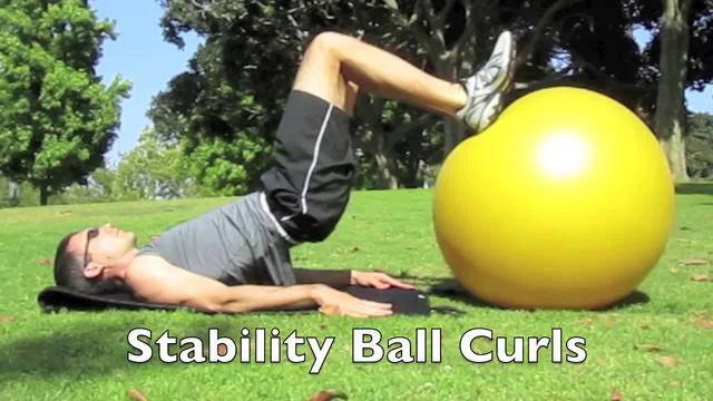 Stability Ball Curls on Vimeo