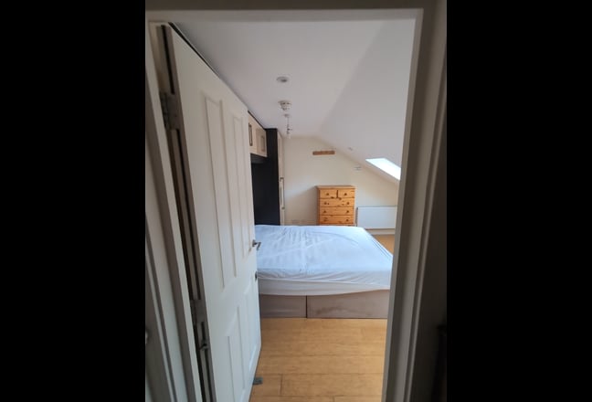 Sean and Dom looking for a new friend! Main Photo