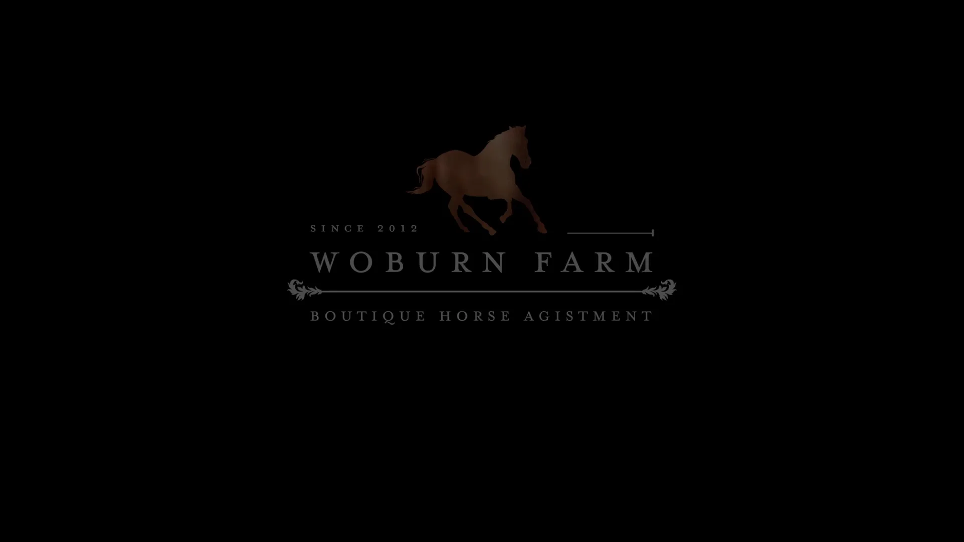 Karaka 2026 - Book 1 | New Zealand Bloodstock | Thoroughbred
