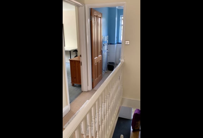 Looking for a Single Person, Female, Preferably Main Photo