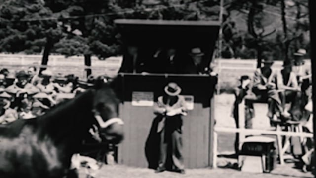 2026 TAB Karaka Milions Barrier Draw - Part 2