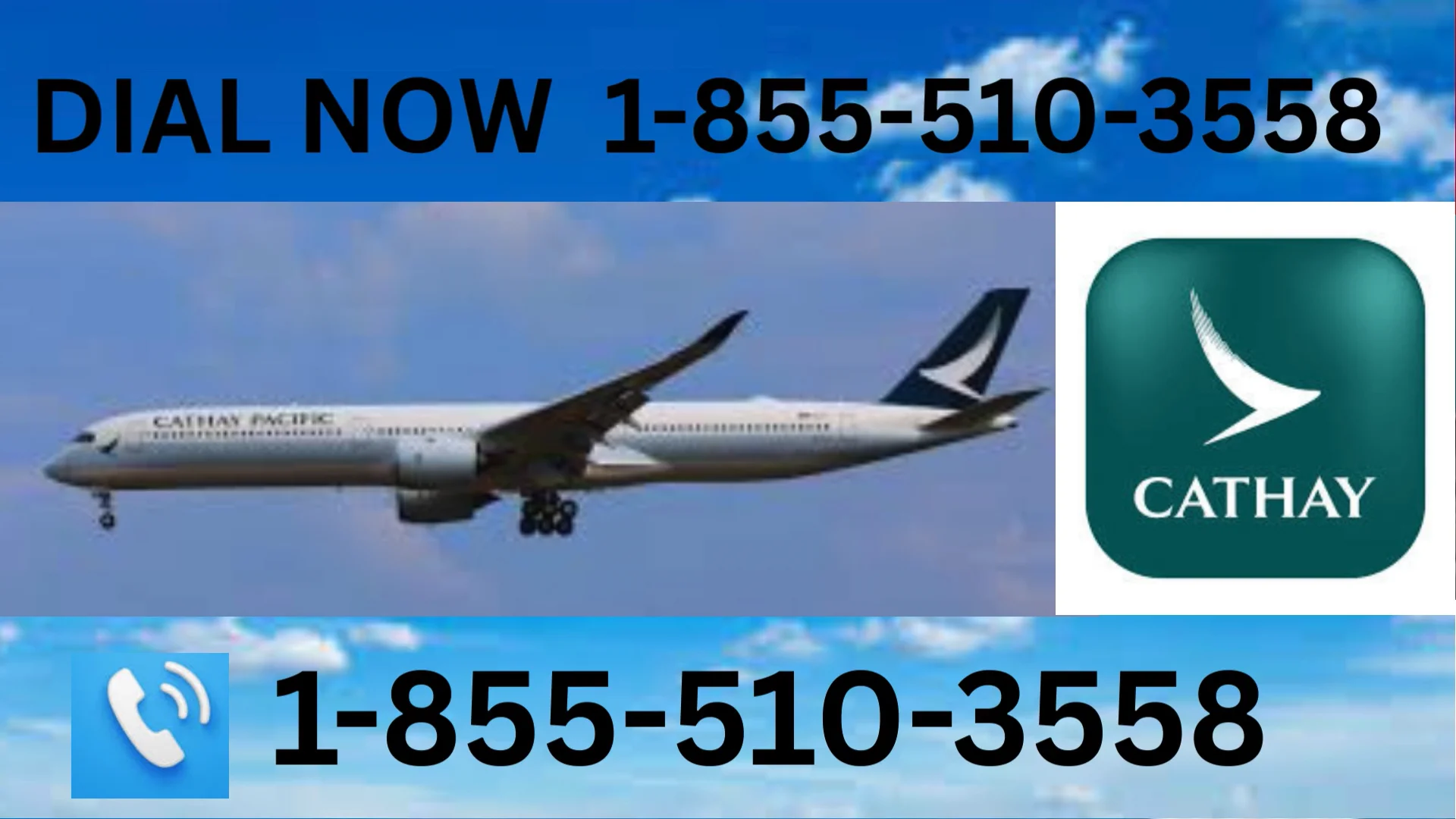 【Cathay Pacific】✮ Customer Service Complete Breakdown &mdash; ✓ Full Support Desk Guide