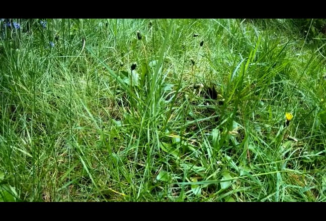 Dalston Central LndFieldCity CalmCreativeVerdurous Main Photo