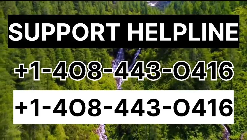 USA Coinbase Customer Service Guide to Live Chat