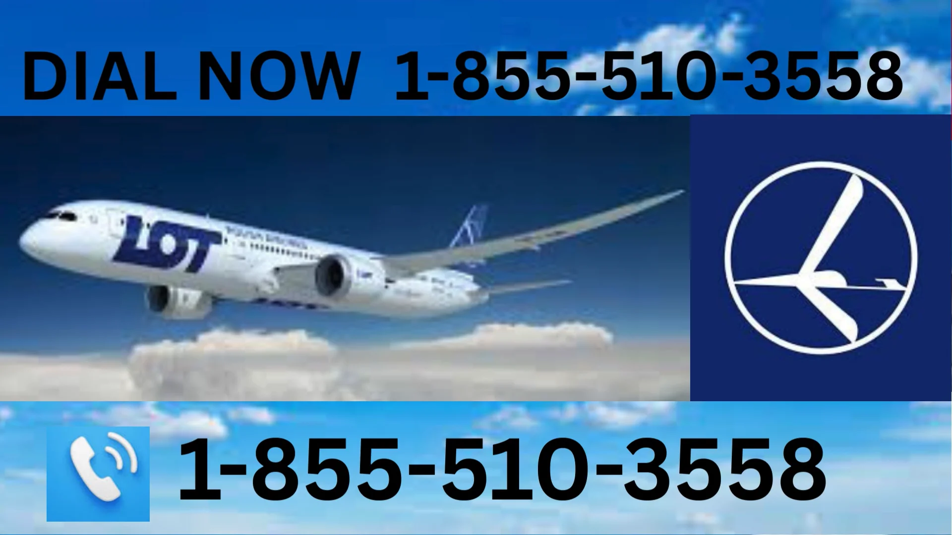 How to Reach LOT Polish airlines&reg;&reg; Customer Service | Official 24/7 Help Guide