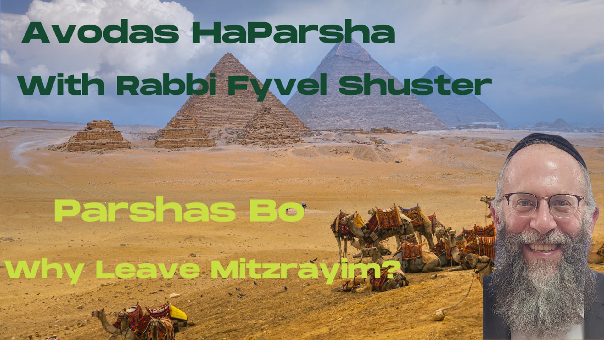 Why Leave Mitzrayim - Avodas HaParsha Parshas Bo