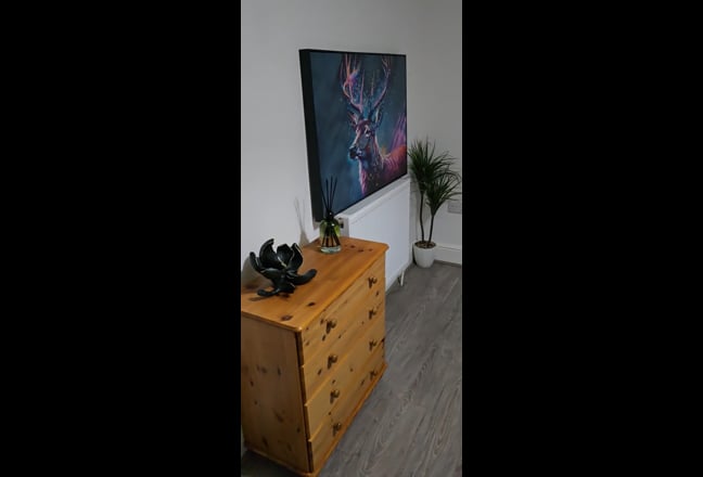 Room to Rent – Stanley Street, Bedford Main Photo