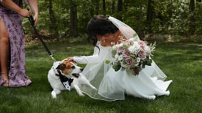 Related Embedded Video Item Thumbnail