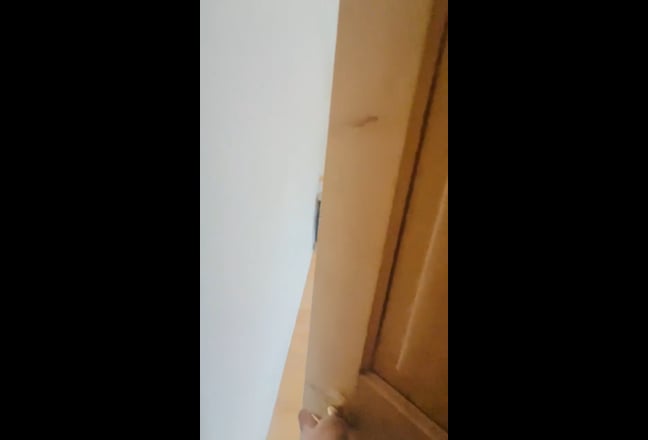 Spacious, Bright Room available for rent Main Photo