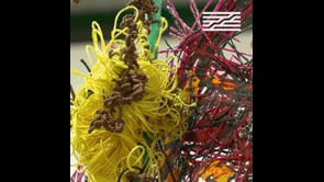 Vignette de la vidéo