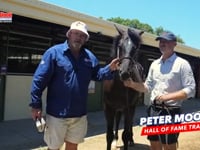 BRAVE SMASH x DOUBLE DEE COLT MOODY