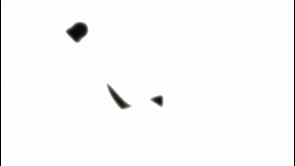 Vignette de la vidéo