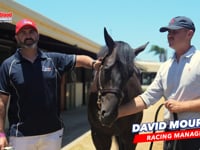 BRAVE SMASH x DOUBLE DEE COLT David