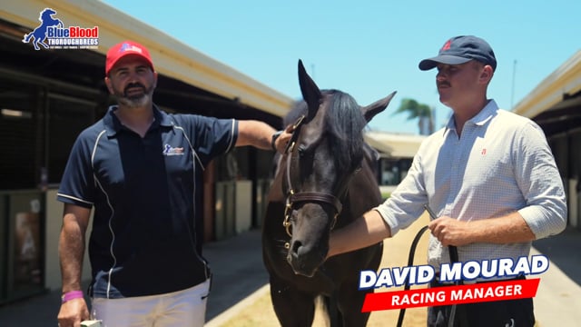 BRAVE SMASH x DOUBLE DEE COLT David