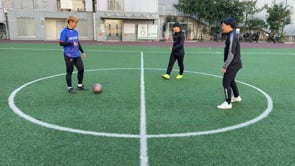 鳥かご2対1