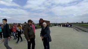 Video 5