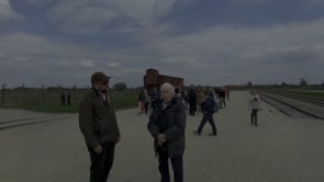 Video 7