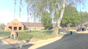 Video 8