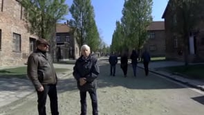 Video 11