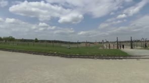 Video 11