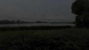 Video 15