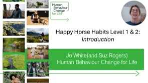 HBCL Introduction.mp4