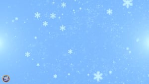 What To Do During The Snowy Weather