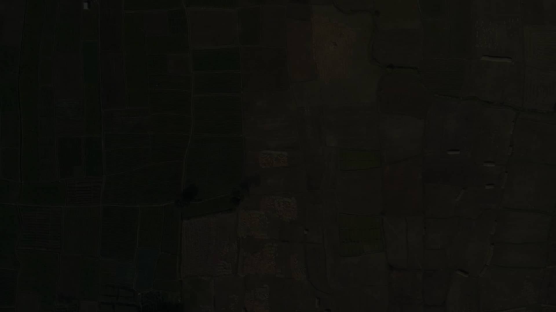 The Last Harvest