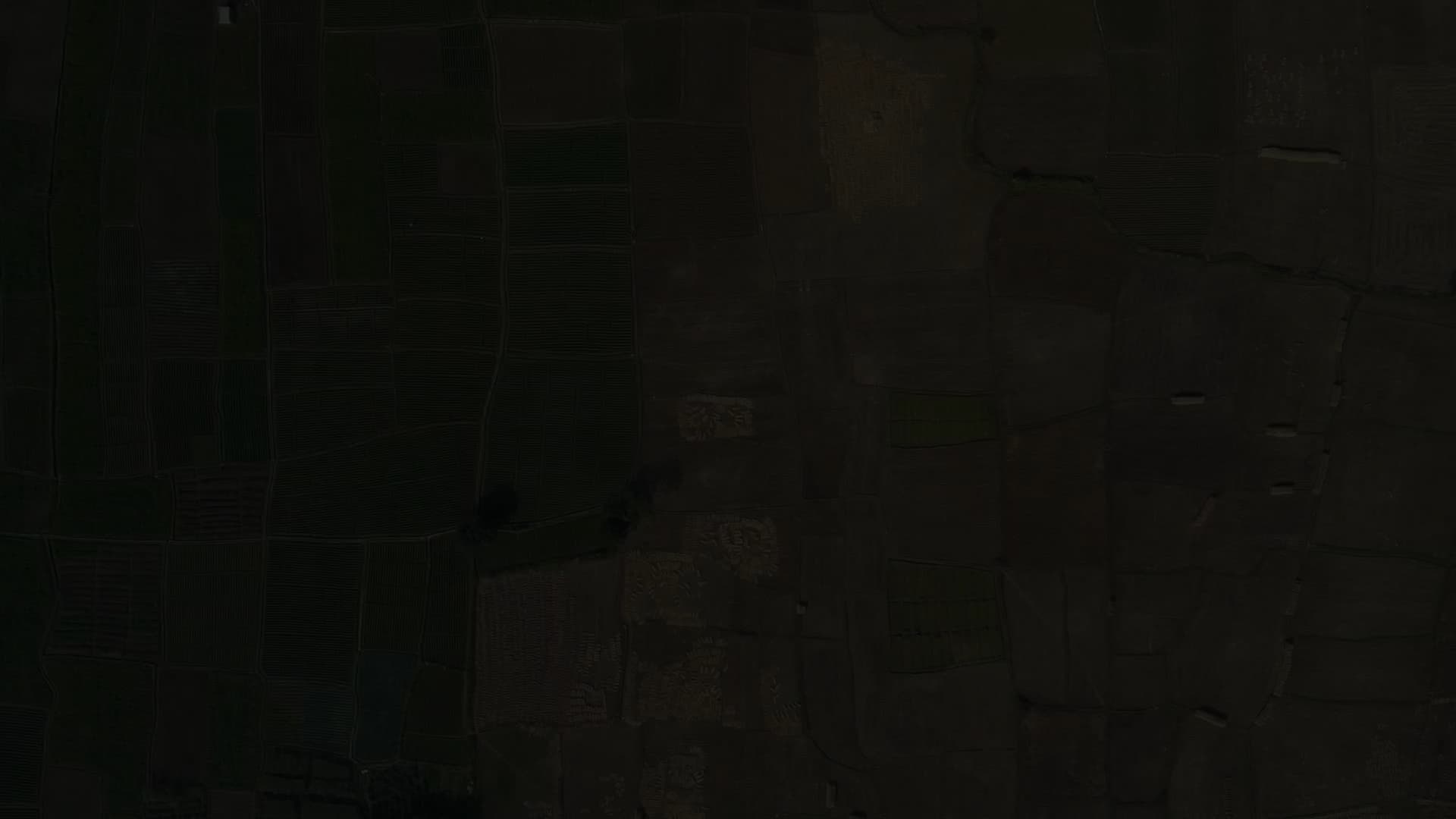 The Last Harvest