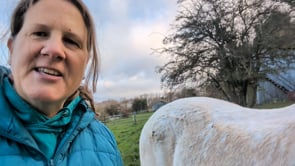 HBCL L1 Example Day 1.mp4