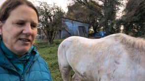 HBCL L1 Example Day 4.mp4