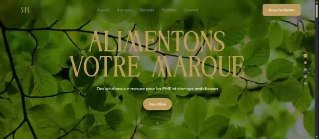 créer votre site WordPress professionnel (vitrine, one page, blog)